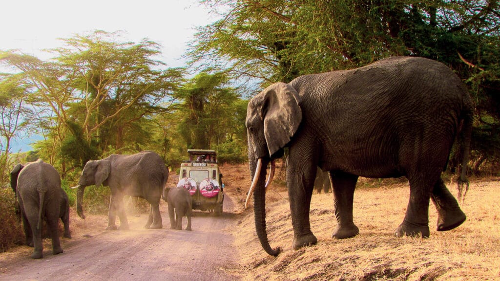 Nejkrásnější národní parky v Tanzanii