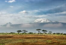 Kilimandžáro Tanzanie