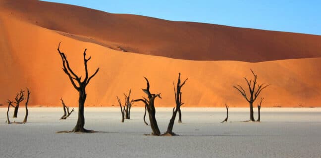 Deadvlei Namibie